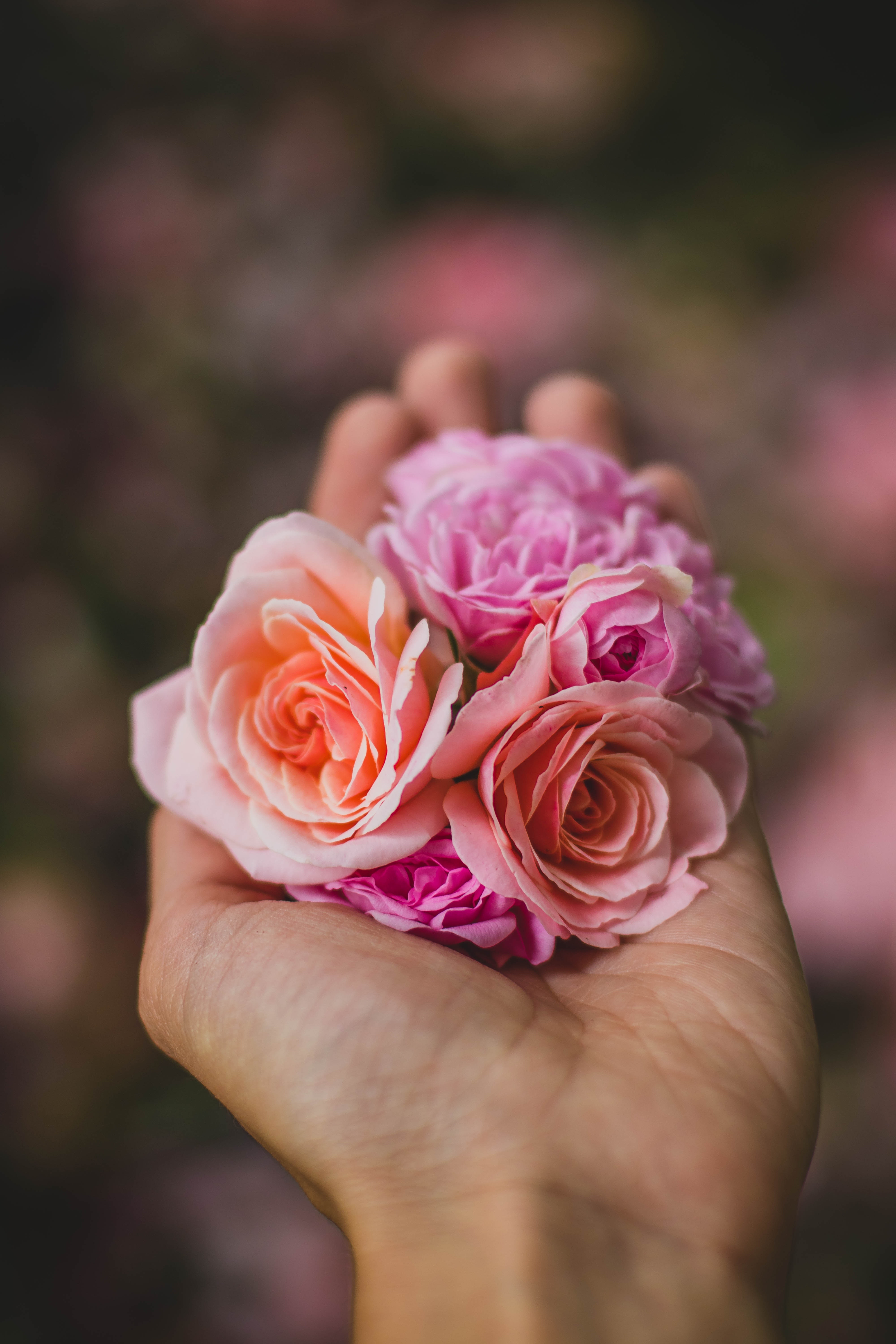 flower-price-2